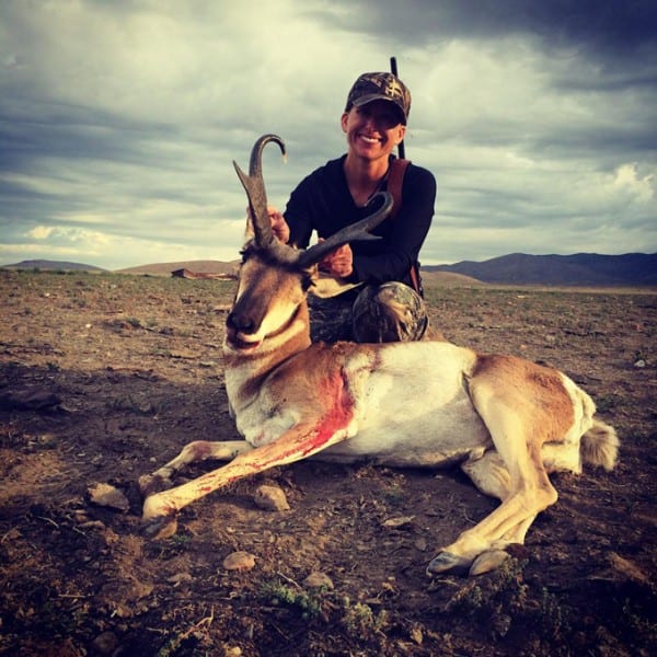 Nevada Antelope