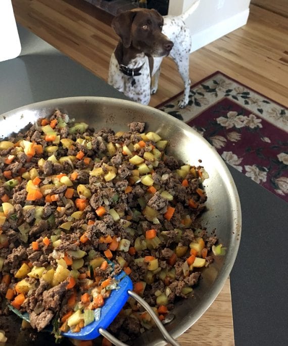 Wild Game Meat Pie Wild Game Cuisine NevadaFoodies