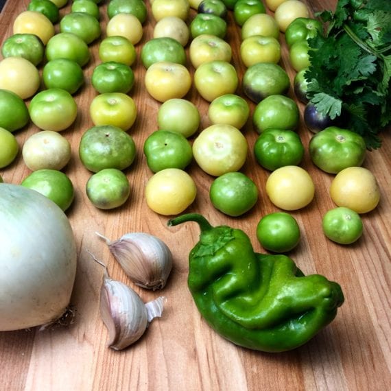 Tomatillo Salsa Verde for Elk, Venison and Pronghorn Dinners Wild