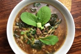Ground Elk Burger Soup