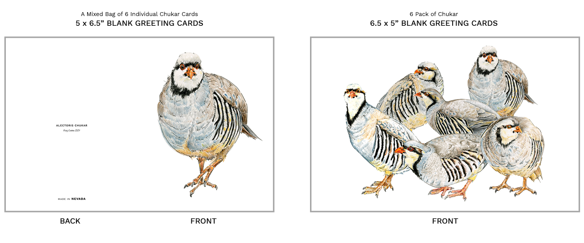 Alectoris Chukar Greeting Card Dimensions