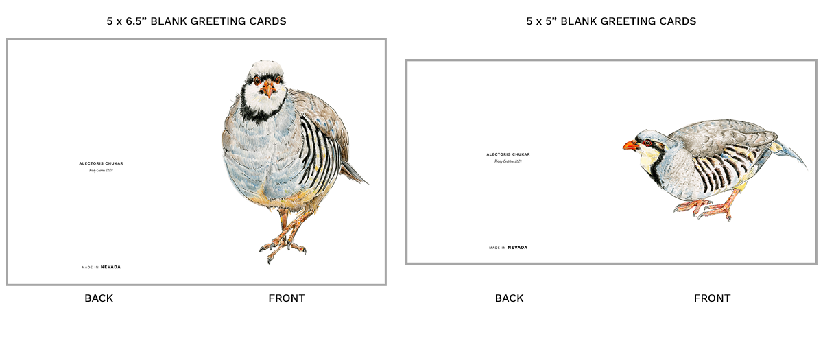 Alectoris Chukar Greeting Card Dimensions