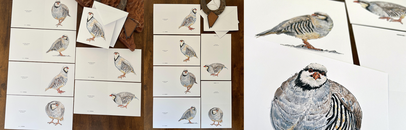 Chukar Blank Notecards