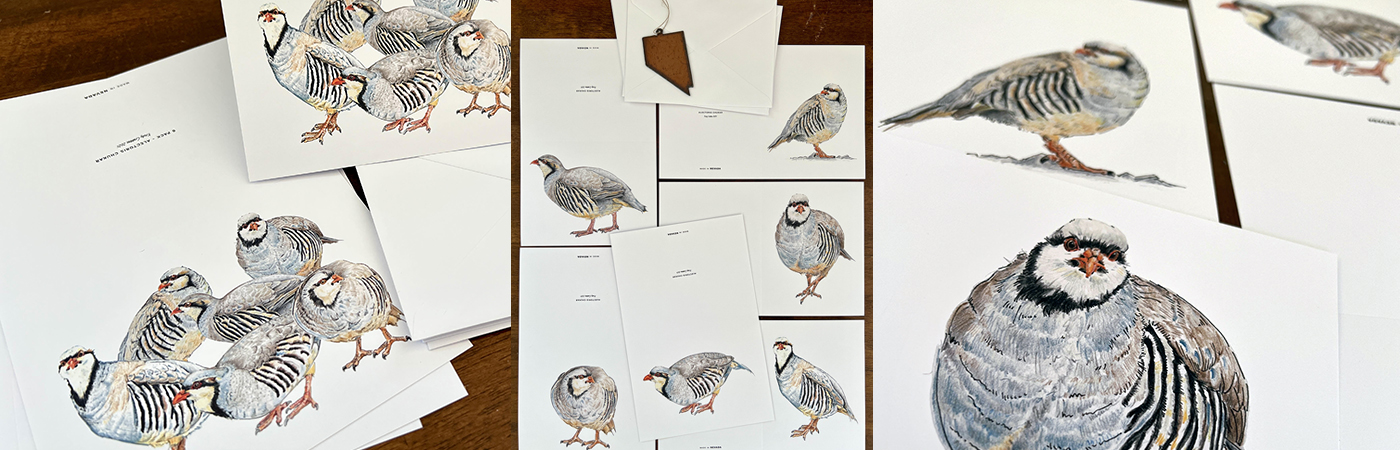 Chukar Blank Notecards