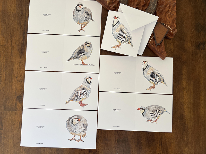 Alectoris Chukar Greeting Cards