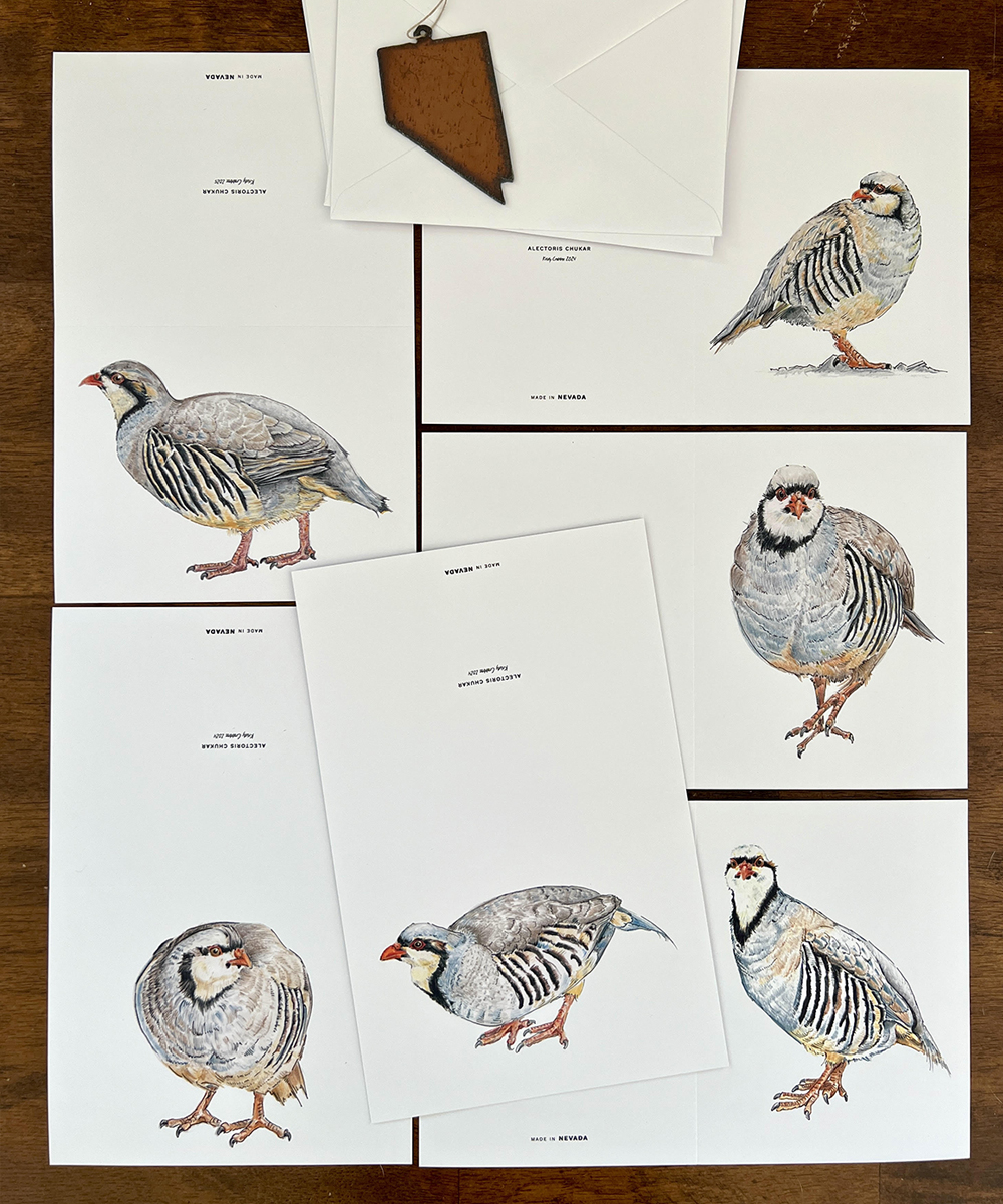 Alectoris Chukar Greeting Cards