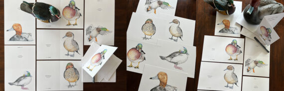 Waterfowl Greeting Cards