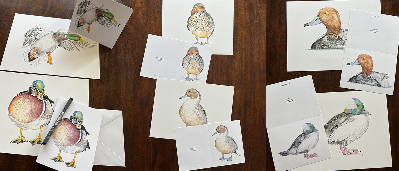 Waterfowl Greeting Cards