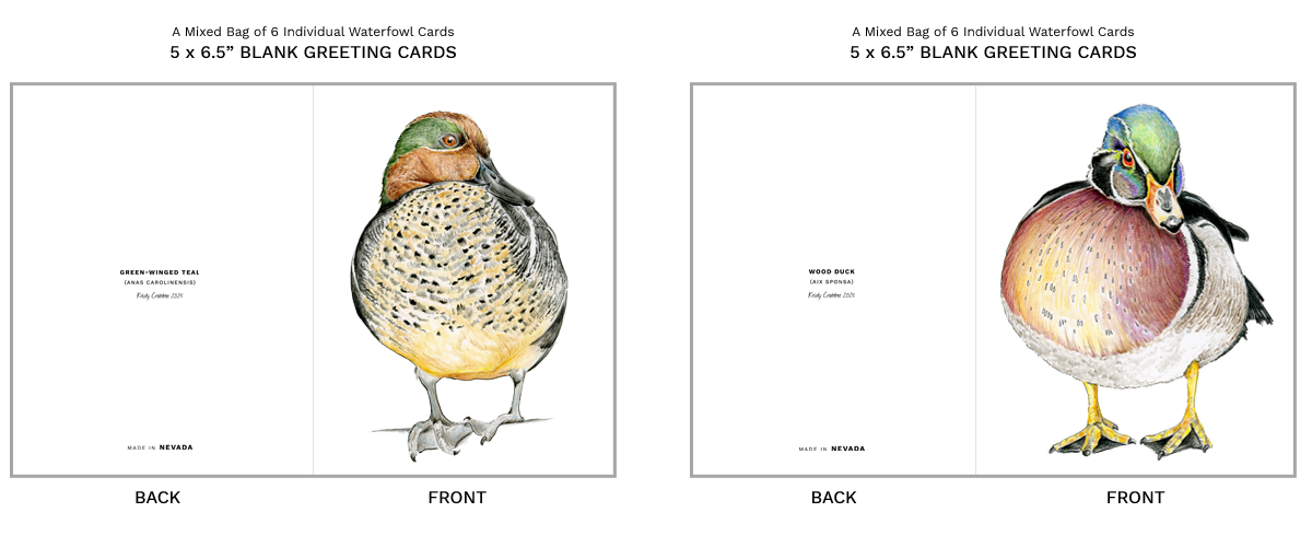 Waterfowl Greeting Card Dimensions